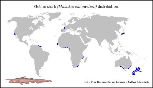 Distribuzione squalo goblin